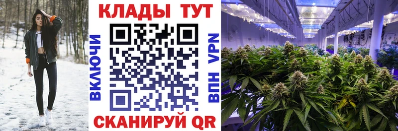 Где купить наркоту Курильск ссылка на мегу ссылка  Альфа ПВП  АМФЕТАМИН  Codein  Мефедрон  Cocaine  ГАШИШ 