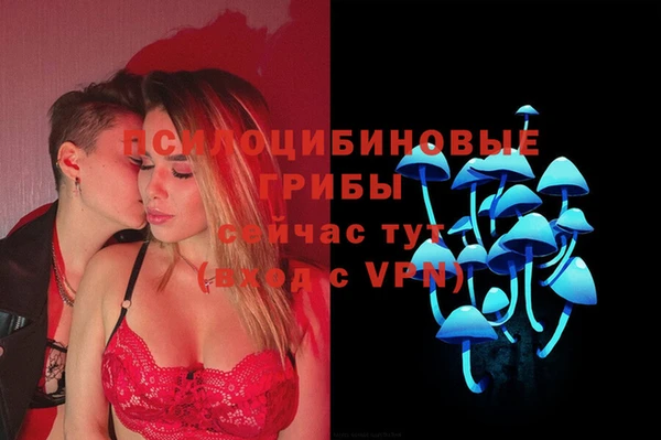 твердый Аркадак