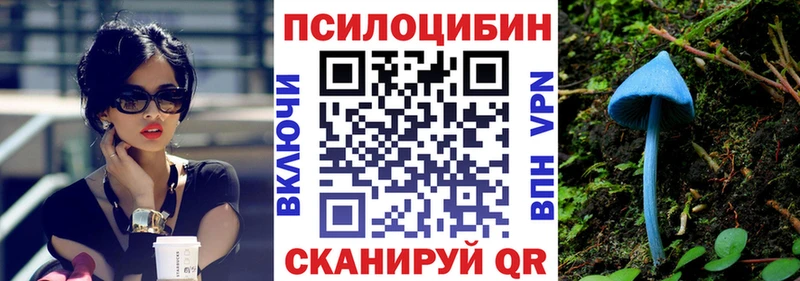 Галлюциногенные грибы Cubensis  Курильск 